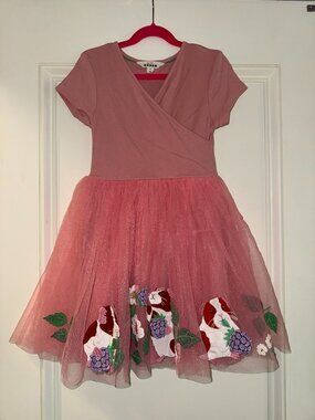 Applique Tulle Ballet Dress